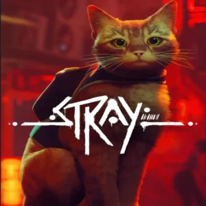 Stray