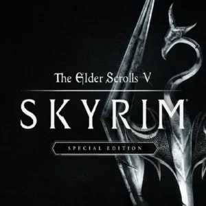 The Elder Scrolls V Skyrim Edicion Especial PS4 | PS5